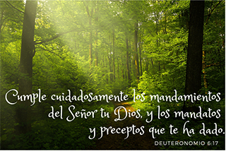 2020 05 04 Lo que dice la Biblia sobre Obediencia