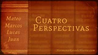MMLJ 4 Perspectivas