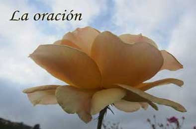 la oracion BLOG