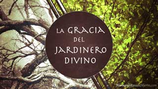 gracia del jardinero divino