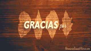 gracias por