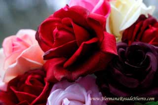 pausa y huele las rosas
